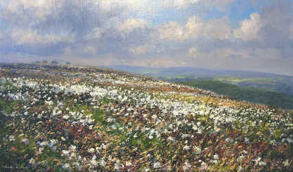 mpcottongr.jpg (94949 bytes)