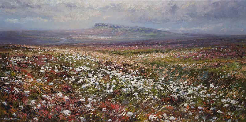 mpcottongrass.jpg (95406 bytes)