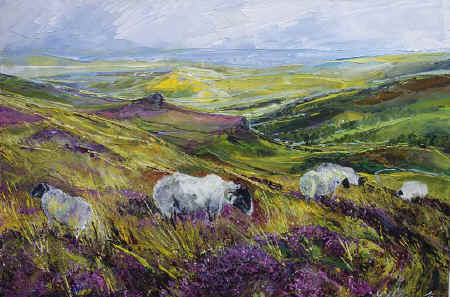thsheep.jpg (84660 bytes)